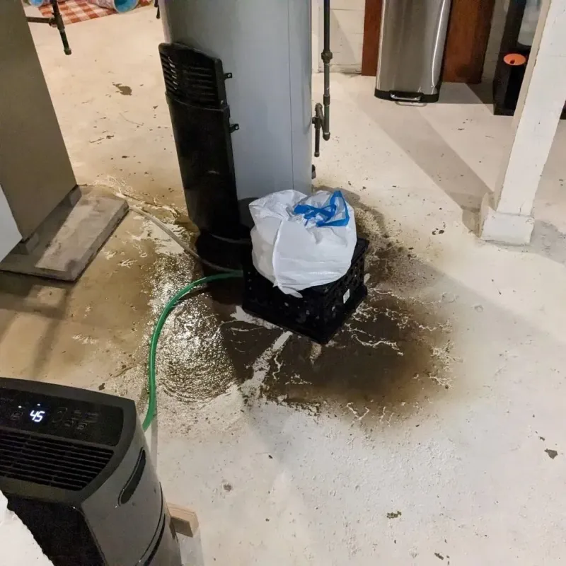 Sewage Backup Cleanup Service in Honea Path, SC